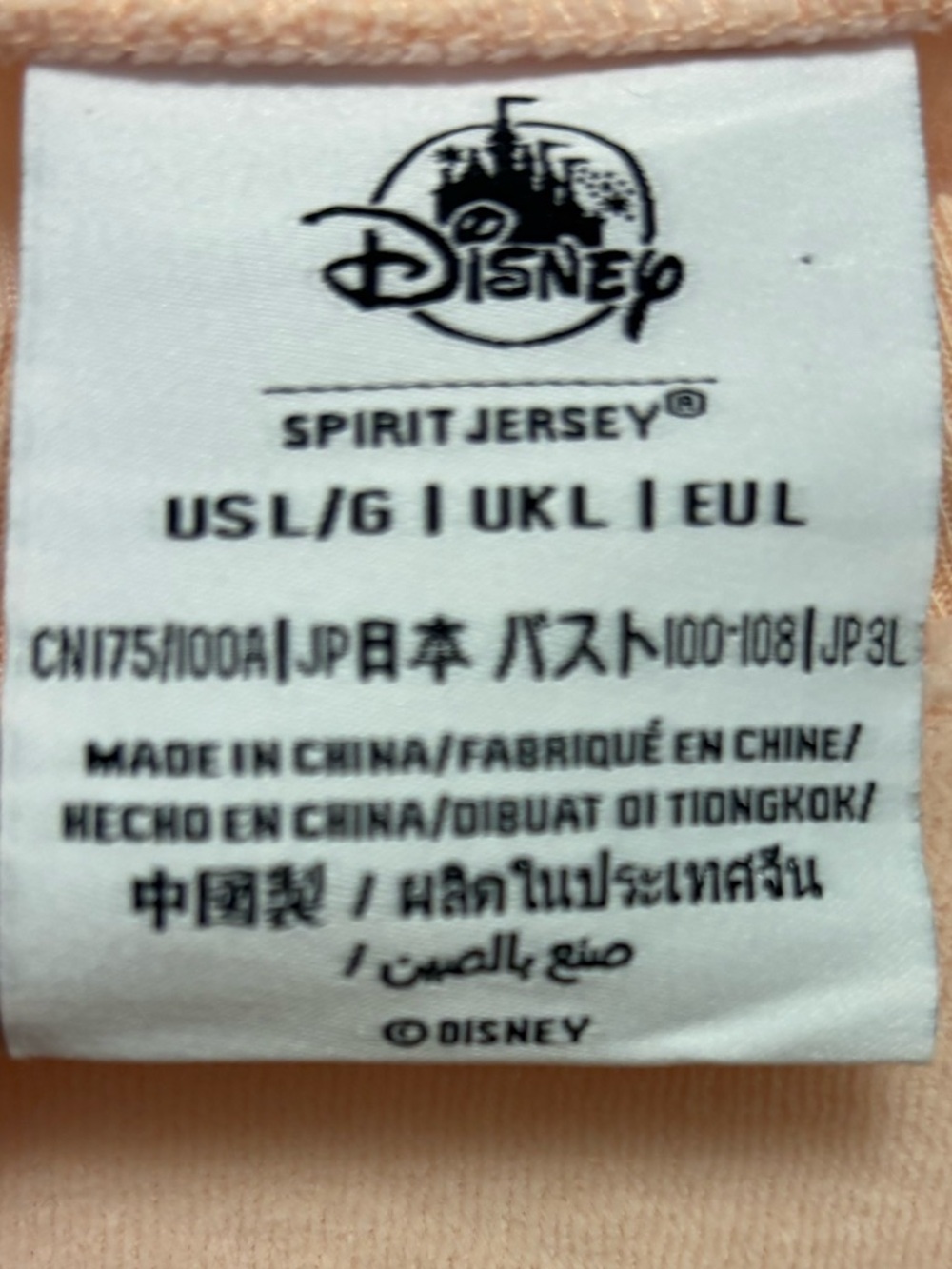 Walt Disney Spirit Jersey Crewneck Sweatshirt Disney Parks Adult Size Large - Picture 6 of 7